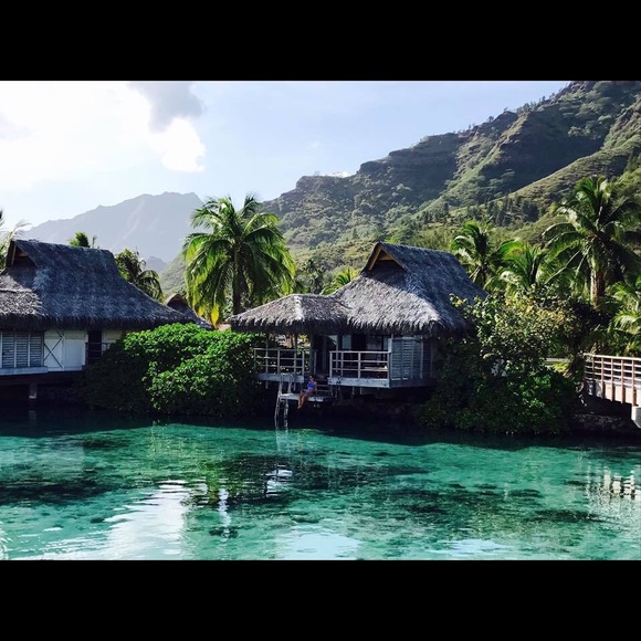 Meet your Posher, Kim - Picture 1 of 1